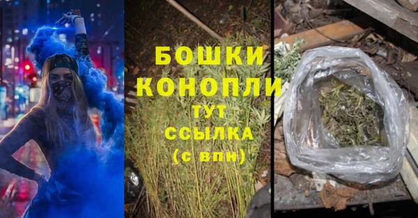 шишки Гусь-Хрустальный