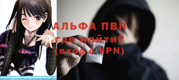 шишки Гусь-Хрустальный