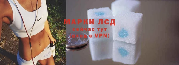 шишки Гусь-Хрустальный