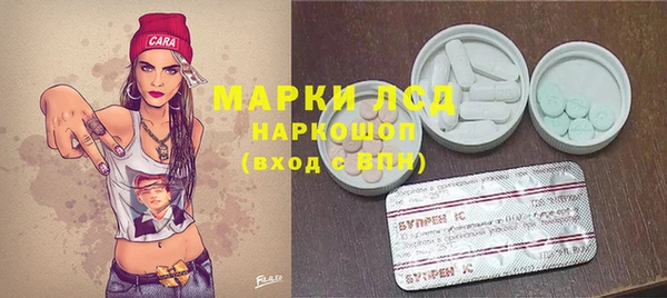 шишки Гусь-Хрустальный