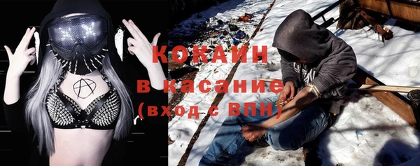 шишки Гусь-Хрустальный