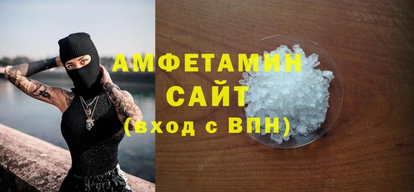 амф Гусиноозёрск
