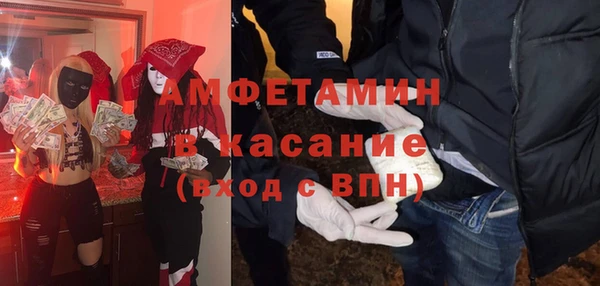шишки Гусь-Хрустальный