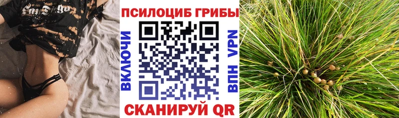Псилоцибиновые грибы мицелий  Купить где  Волчанск 